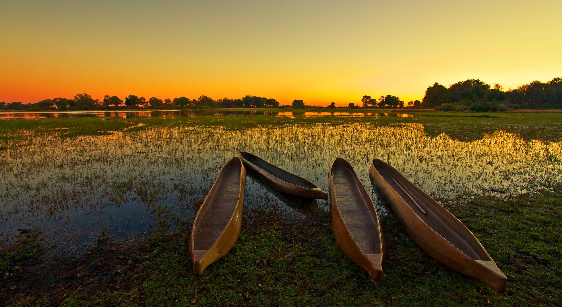 barque de transport sur un fleuve au Botswana