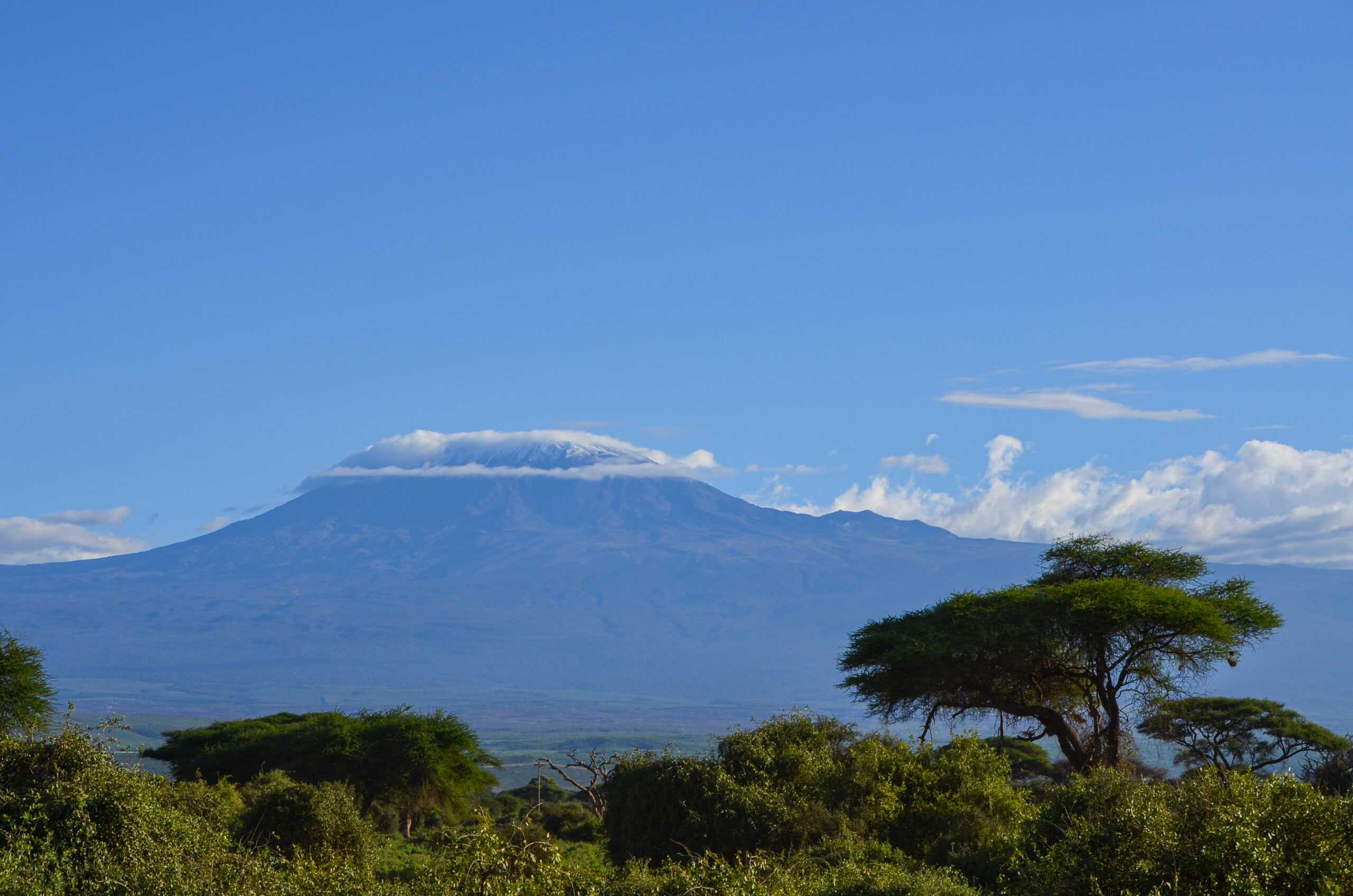 vue du Kilimanjaro au Kenya