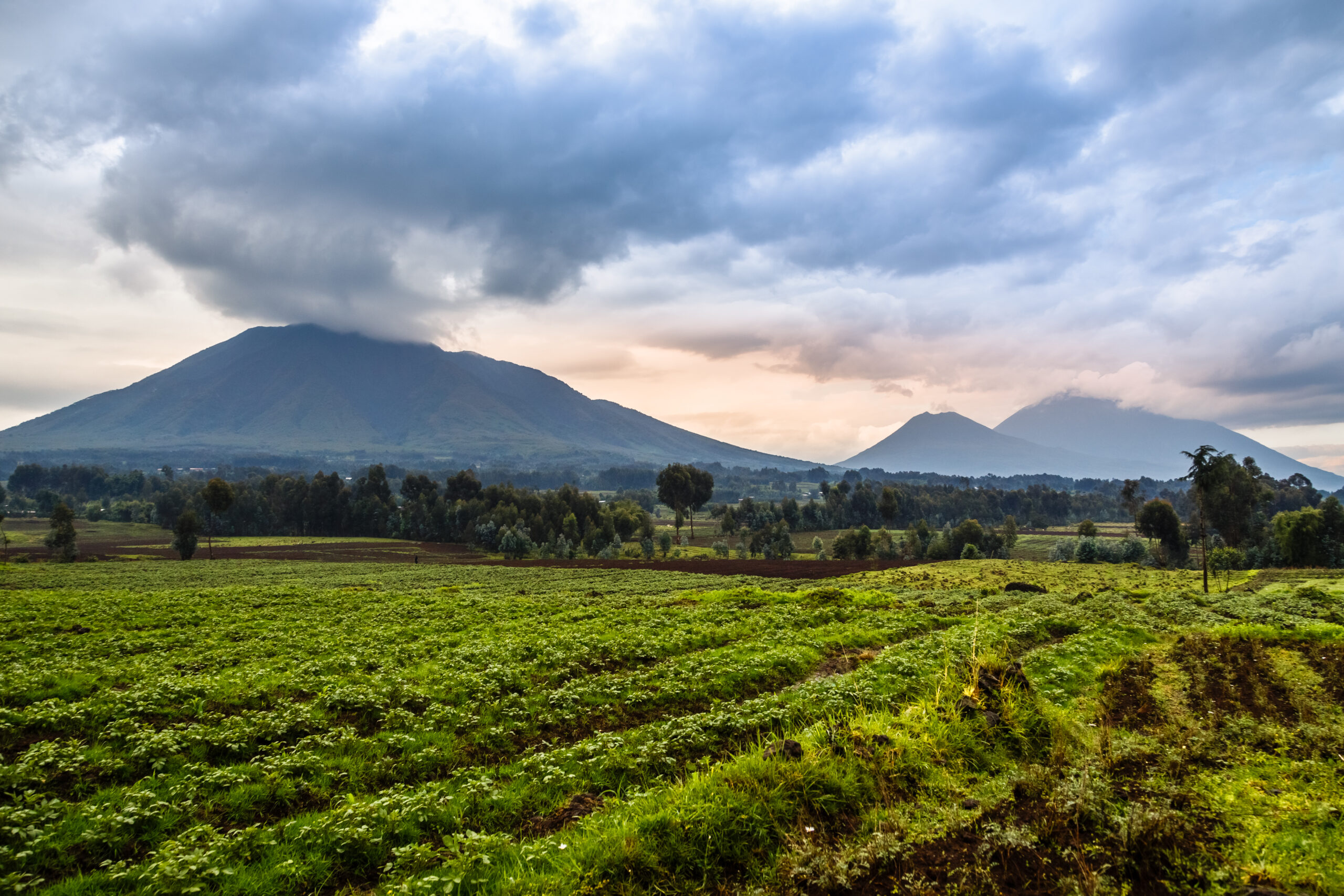 volcan virunga dans le parc national du Rwanda