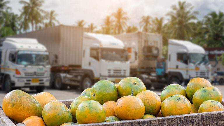étalage de fruit devant des camions de transport de conteneurs stationnés au second plan