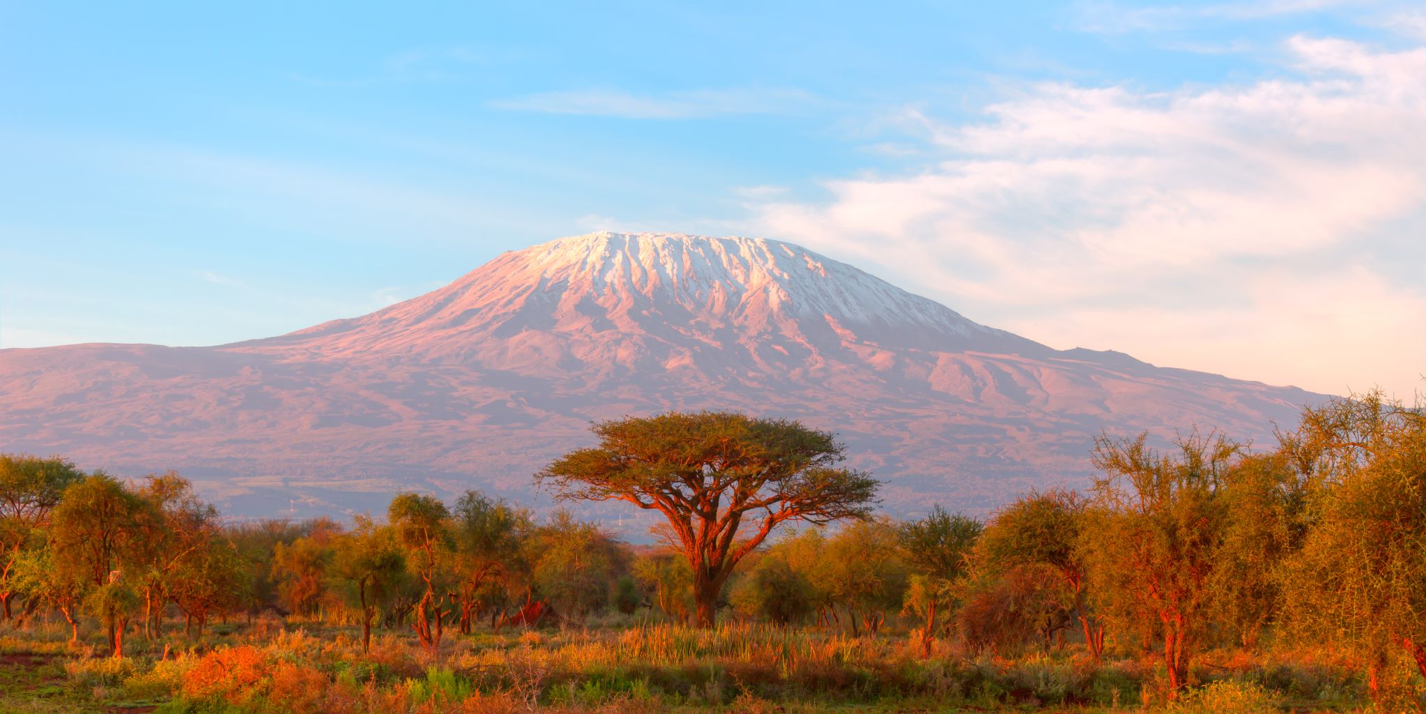 Montagne Tanzanie