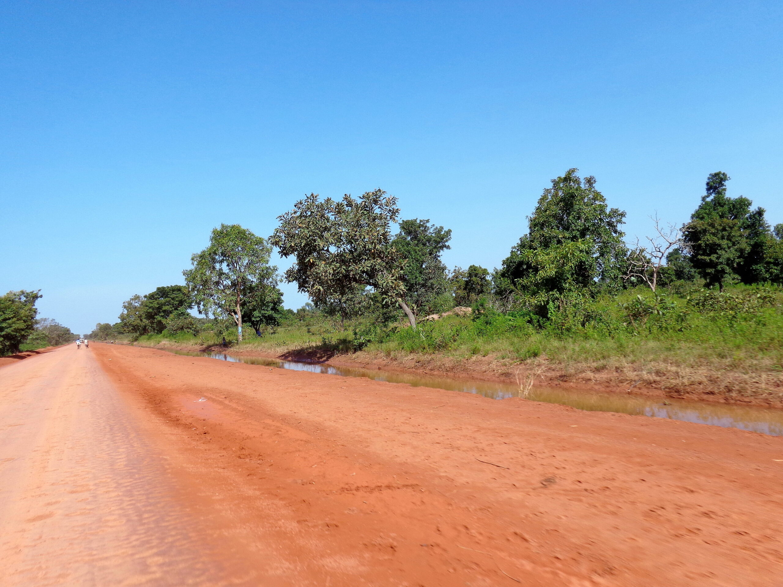Route en terre rouge dans la campagne du Chad