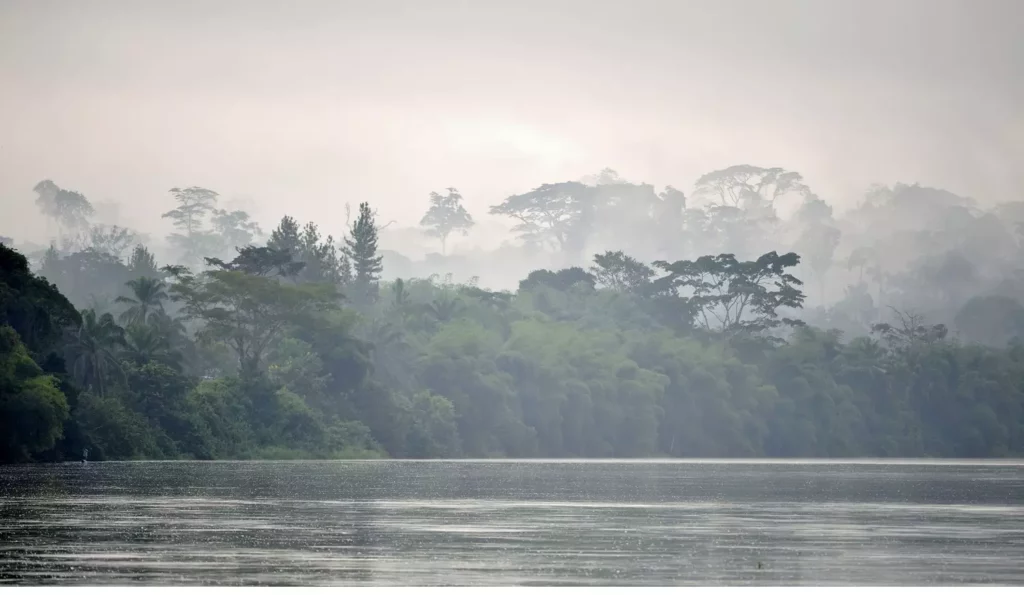 fleuve et rivage au Congo