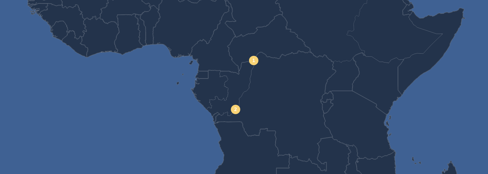 Carte de la présence des terminaux fluviaux d'AGL en Afrique