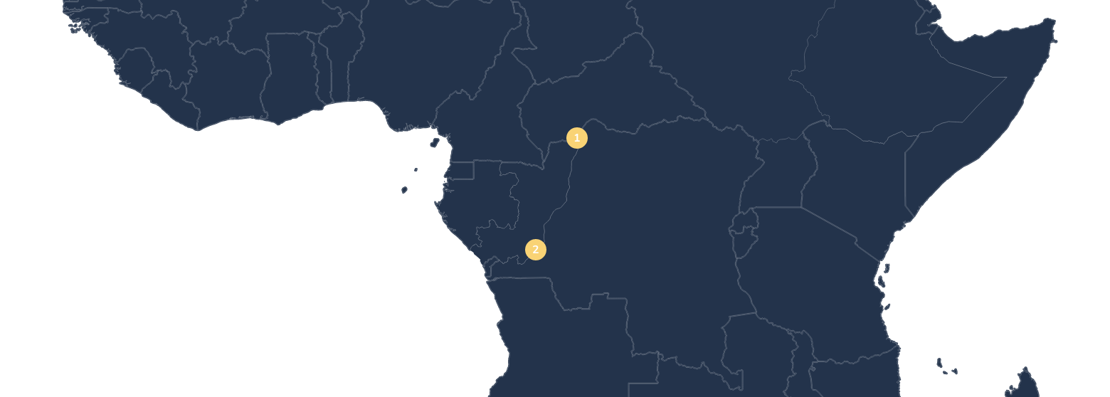 Carte de la présence des terminaux fluviaux d'AGL en Afrique