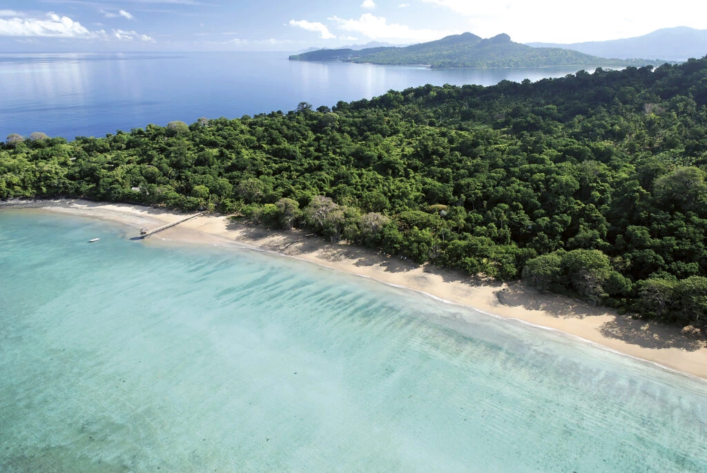 La forêt au bord de l'eau aux Comores